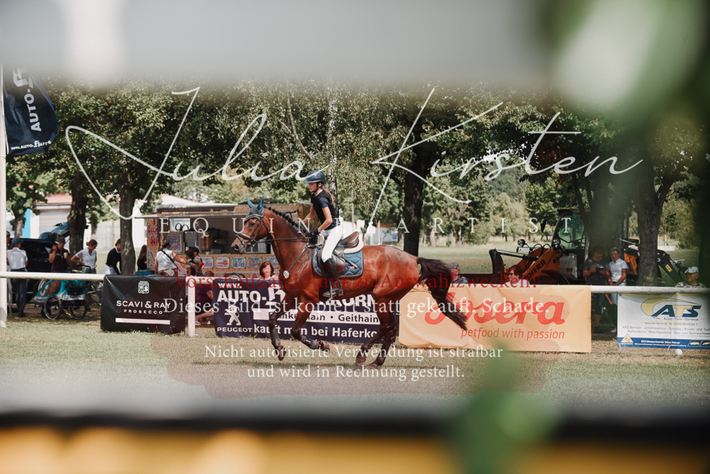 DSC_5699 | Pferde- und Turnierfotografie in Westsachsen. Pferdeportraits, Auftragszeichnungen und intuitive Kunst.
