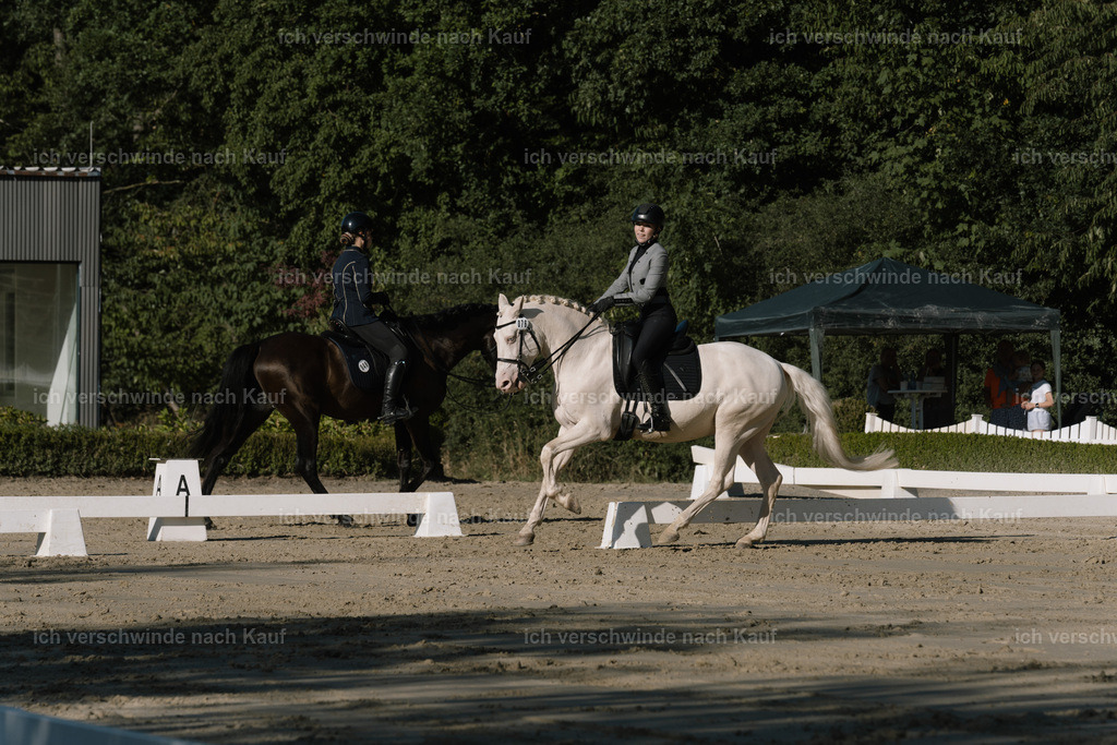 WM_DR_76_sinafilmart_IN04483 | working equitationturnier fotograf videograf stoibphotography marixx film working equitation deutschland reitsport turnierfotografie eventfotografie equestrian events
