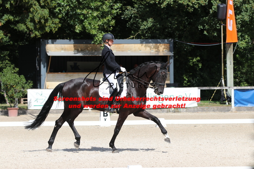 IMG_5297 | lmwpictures - Realisiert mit Pictrs.com