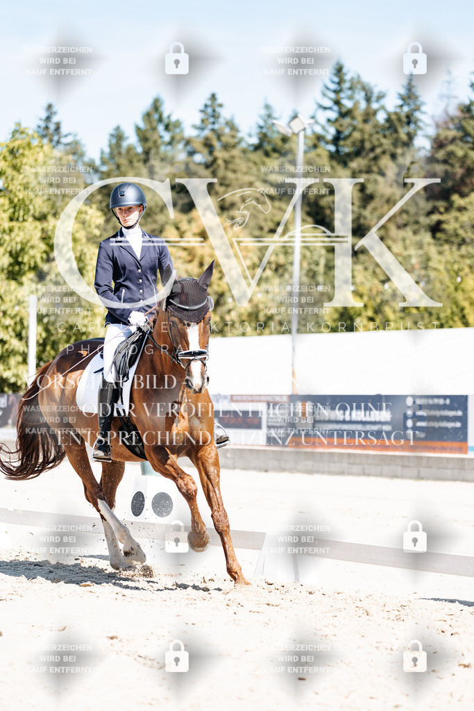 CK909355 | Turnierfotografie Pferdefotografie Trier Rheinland-Pfalz Pferdesport Reitsport Tierfotografie Sportfotografie Pferdevideo Pferdevideografie Equestrianvideography equestrianphotography  - Realisiert mit Pictrs.com