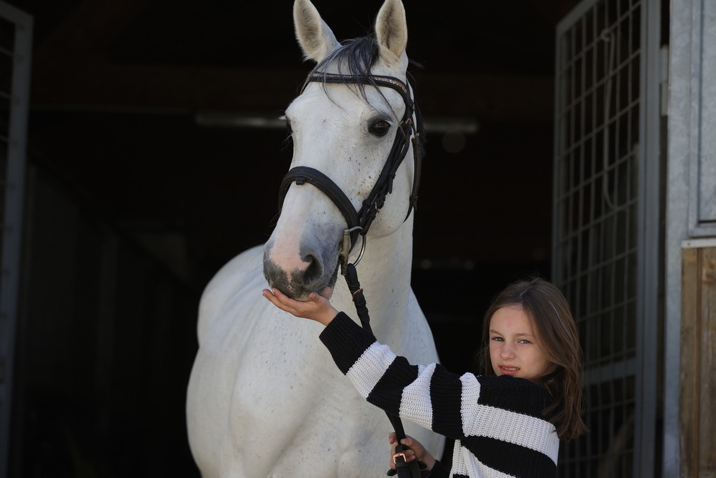 0P6A9017 | Willkommen bei Brunnmayr - Design & Fotografie – Ihrem Spezialisten für Reitturniere und Pferdeveranstaltungen in Oberösterreich, Salzburg und Bayern! Seit über 17 Jahren sind wir leidenschaftlich dabei.
