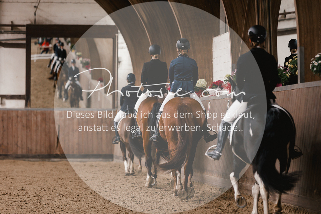 3I6A7387 | Stimmungsvolle Portraits und Reitsportfotografie im Ruhrgebiet und im Münsterland.

Pferdefotografie, Hundefotografie, Tierfotografie, Reportagen, Portraits von Tier und Mensch, Turnierfotografie in Bochum, Recklinghausen, Marl, Haltern am See, Dülmen.. - Realisiert mit Pictrs.com