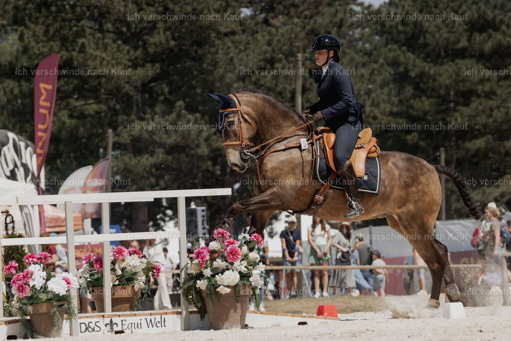 WE_SP_Stoib_329_PI2025_2022 | Pferd International München 2025