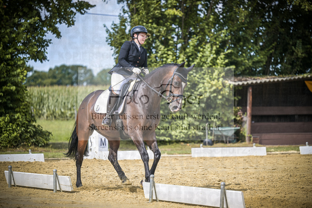 DOS_4221 | Entdecke hochwertige Reitturnierfotos von Foto Oger. Professionell, emotional und authentisch – jetzt Lieblingsmomente im Shop bestellen.Deutschlandweite Turnierfotografie. - Realisiert mit Pictrs.com