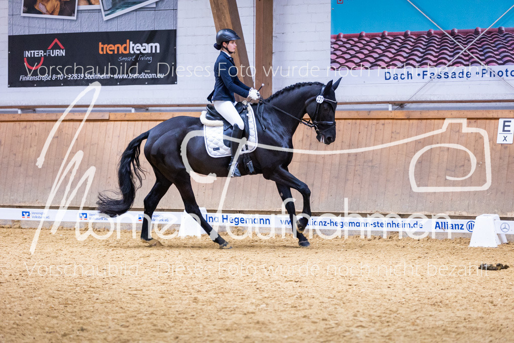 Sth-A-Dre-2St-118 | MomenTaufnahmen Pferdesportfotos