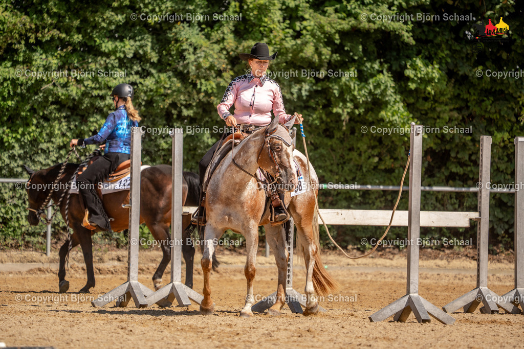 LMS05108 | BS-foto