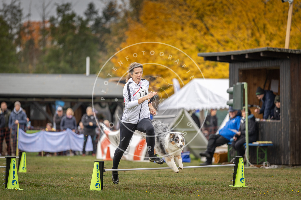 Pfotenfotografie_DV3A5459 | Hundefotografie, Tierfotograf, Pfotenfotografie, Fotoshooting Hund, Hunde Portrait, Hundesport, Hundeportraits, Heideshooting, Hunde, Sportfotograf, Hundefotograf, Turnierhundsport, THS,  - Realisiert mit Pictrs.com