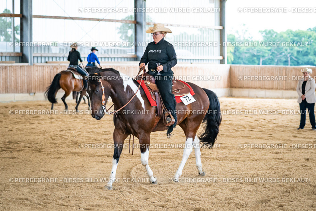 DSC09242 | Pferdegrafie