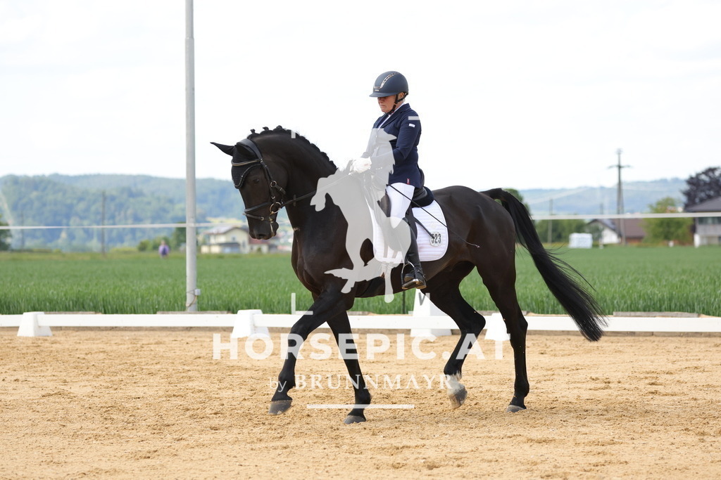 0P6A9076 | Willkommen bei Brunnmayr - Design & Fotografie – Ihrem Spezialisten für Reitturniere und Pferdeveranstaltungen in Oberösterreich, Salzburg und Bayern! Seit über 17 Jahren sind wir leidenschaftlich dabei.