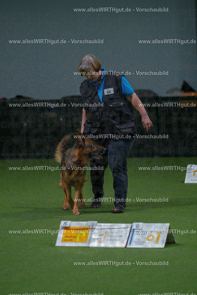 7R507952 | Professionelle Tierfotografie in Mönchengladbach von Daniel Wirth (allesWIRTHgut). Liebevolle & natürliche Bilder von Hunden & Katzen für unvergessliche Erinnerungen.