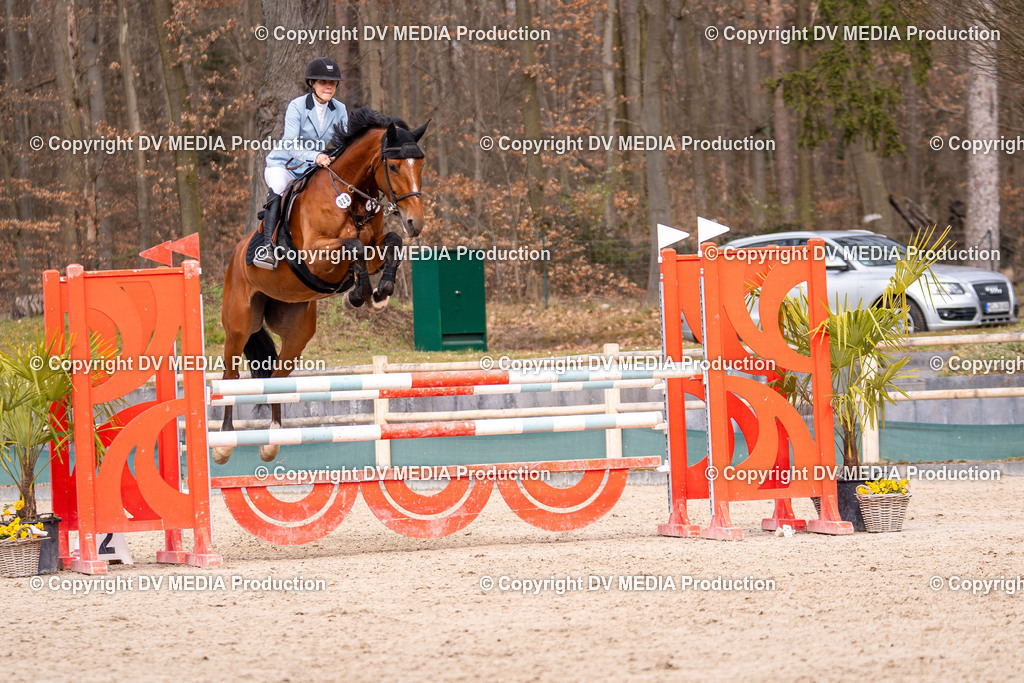 Kranichstein Tag 2-1739 | dv-media-shop - Realisiert mit Pictrs.com