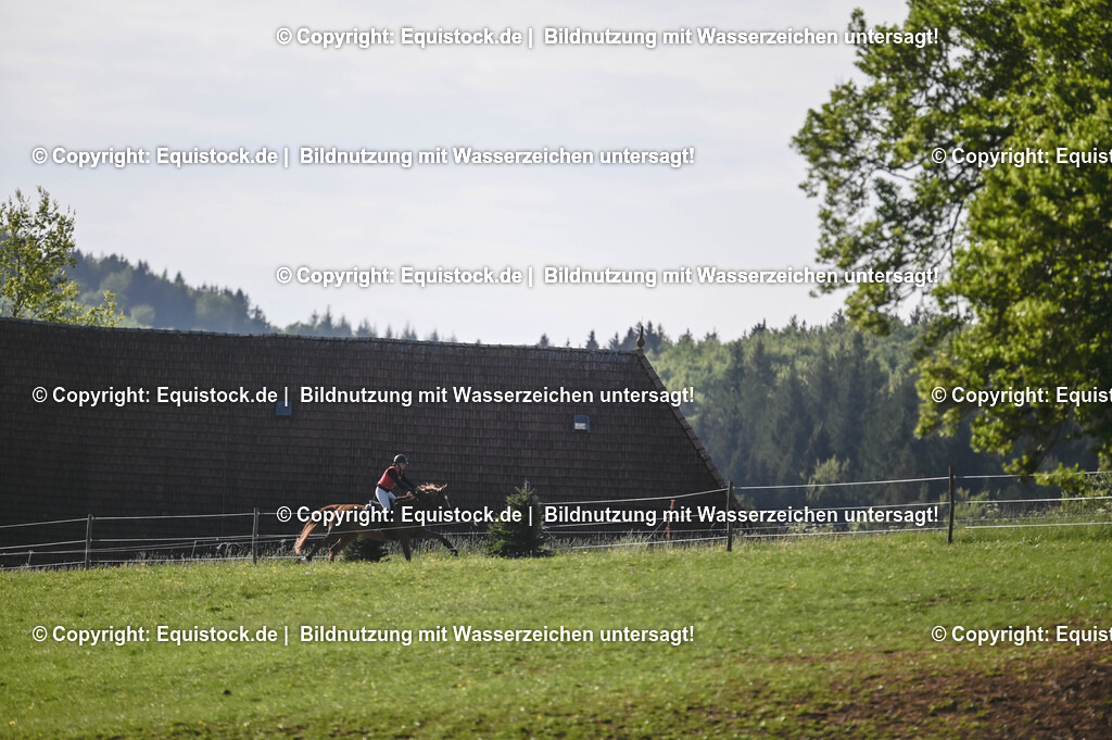 20250517_CCI2_Gelände_0279 | Foto: Thomas Hartig