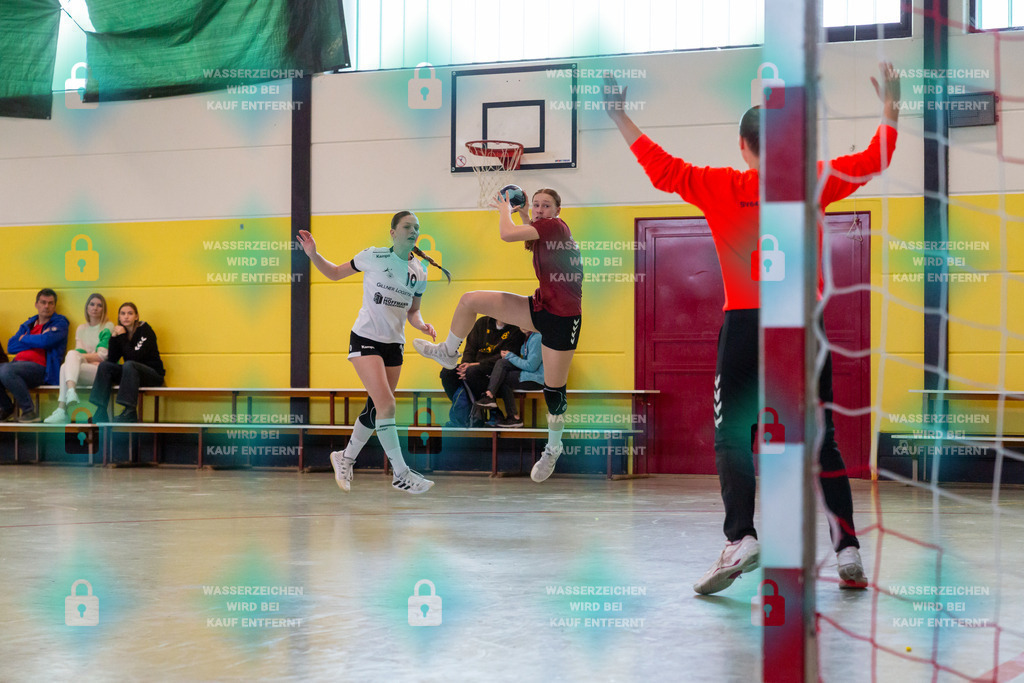 _HP_1288_3000o | JSG Welling-Bassenheim gegenAG AV 64 Zweibrücken 09.03.2024