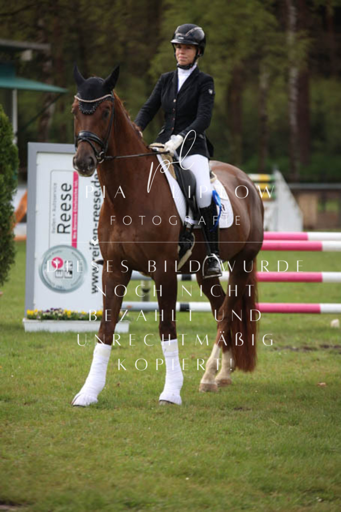 IMGT3440 | pl-fotografie