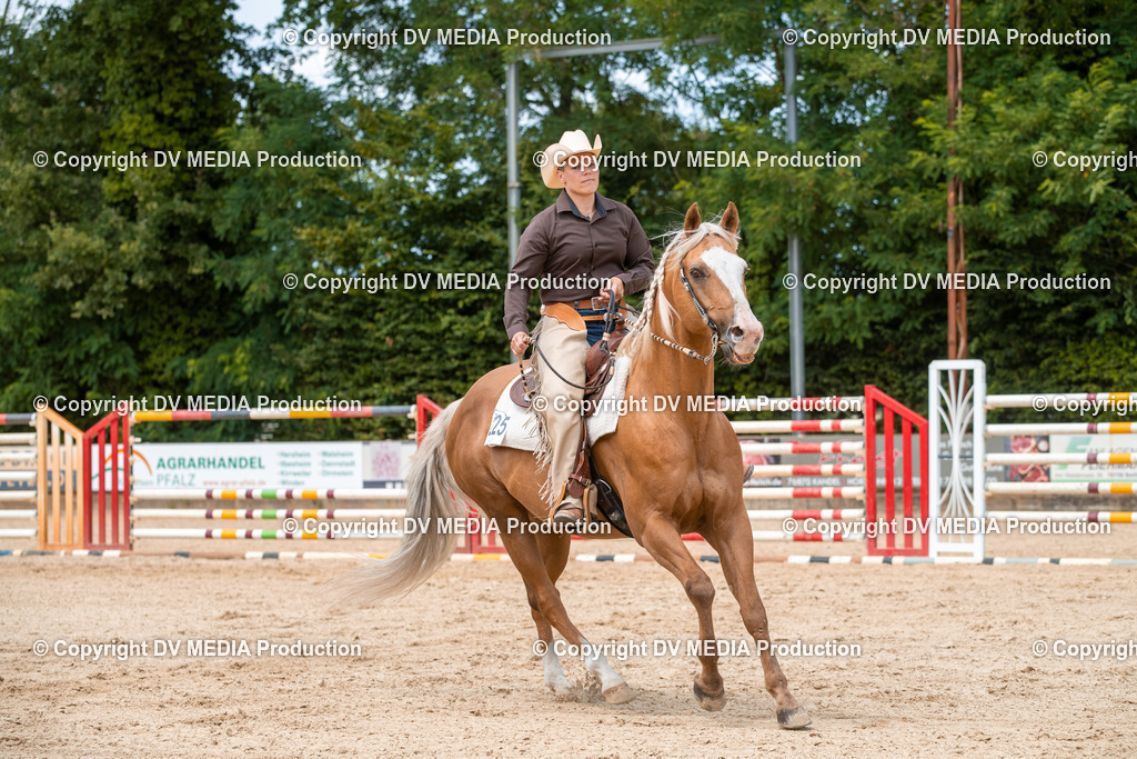 EWP_6373 | dv-media-shop - Realisiert mit Pictrs.com