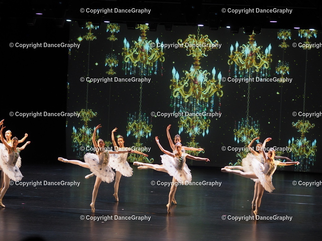 P7260443 | DanceGraphy - Realisiert mit Pictrs.com