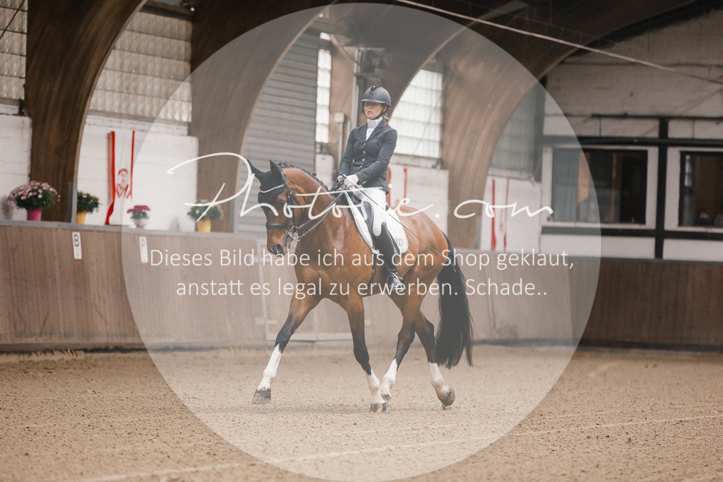3I6A8053 | Stimmungsvolle Portraits und Reitsportfotografie im Ruhrgebiet und im Münsterland.

Pferdefotografie, Hundefotografie, Tierfotografie, Reportagen, Portraits von Tier und Mensch, Turnierfotografie in Bochum, Recklinghausen, Marl, Haltern am See, Dülmen.. - Realisiert mit Pictrs.com