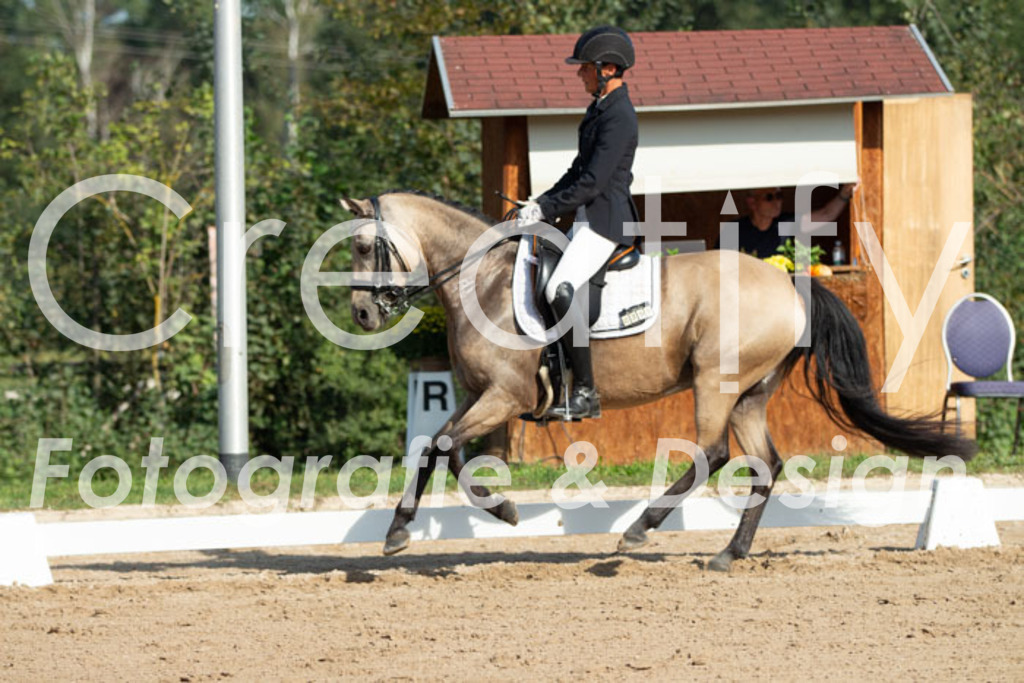 IMG_0511 | Creatify Fotografie