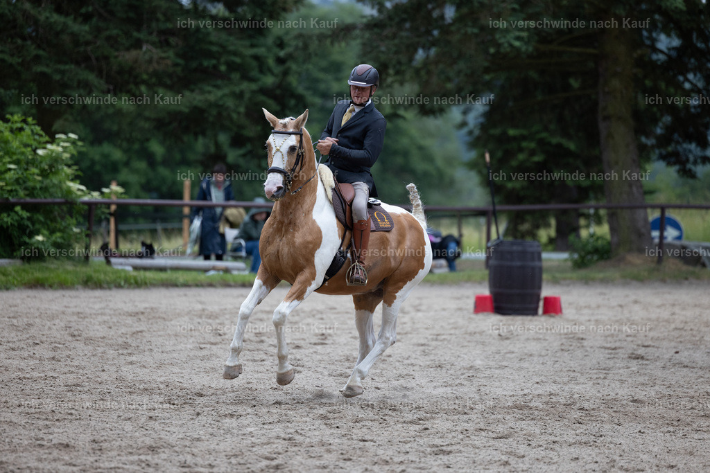 Masterclass_stoibphotography_C2_L7082.CR3 | working equitationturnier fotograf videograf stoibphotography marixx film working equitation deutschland reitsport turnierfotografie eventfotografie equestrian events
