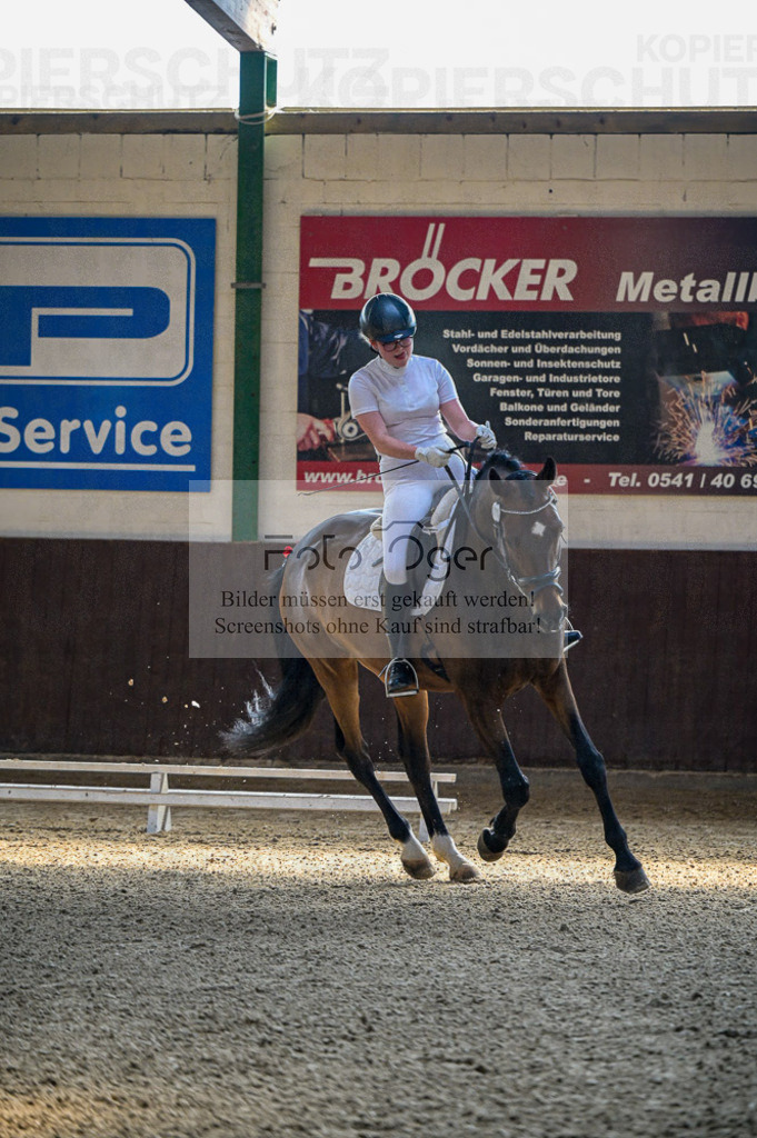 Reitturnier Voxtrup | Entdecke hochwertige Reitturnierfotos von Foto Oger. Professionell, emotional und authentisch – jetzt Lieblingsmomente im Shop bestellen.Deutschlandweite Turnierfotografie. - Realisiert mit Pictrs.com