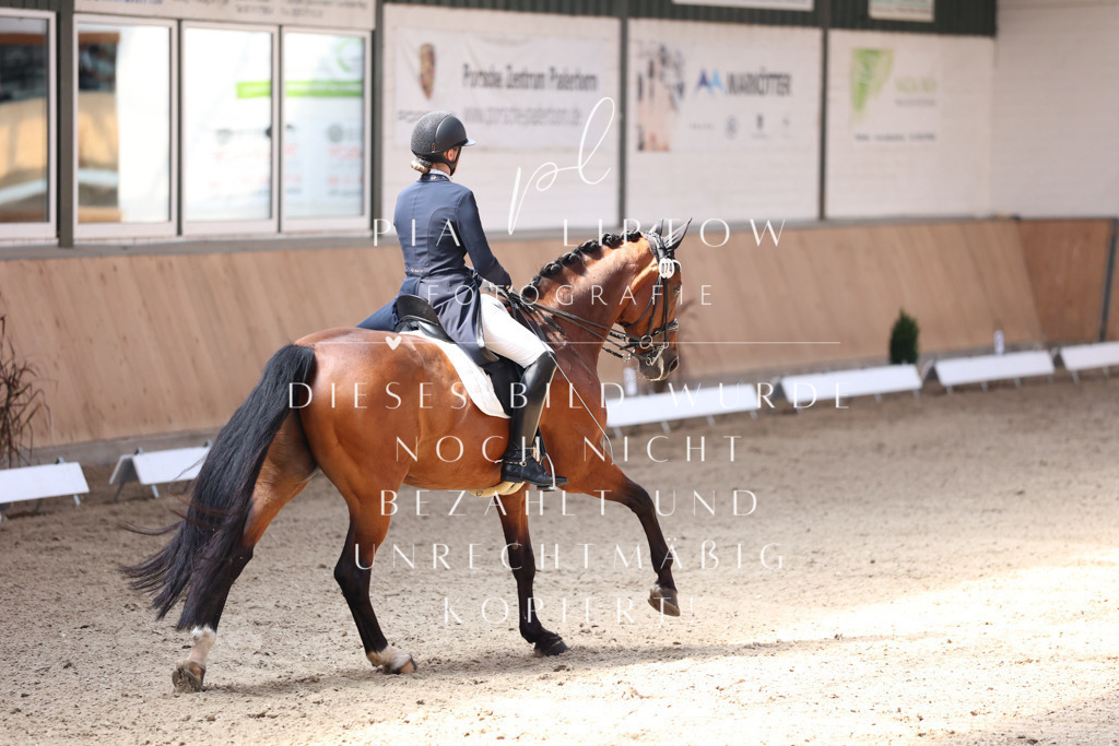 IMGM4001 | pl-fotografie