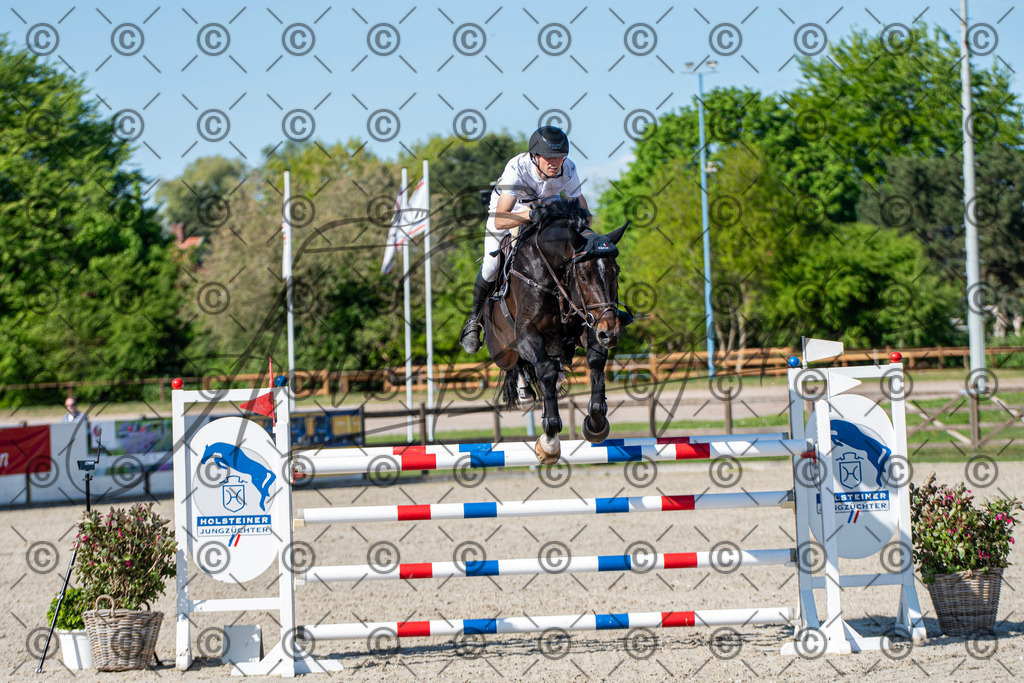 KPT_1661 | andre_photographic