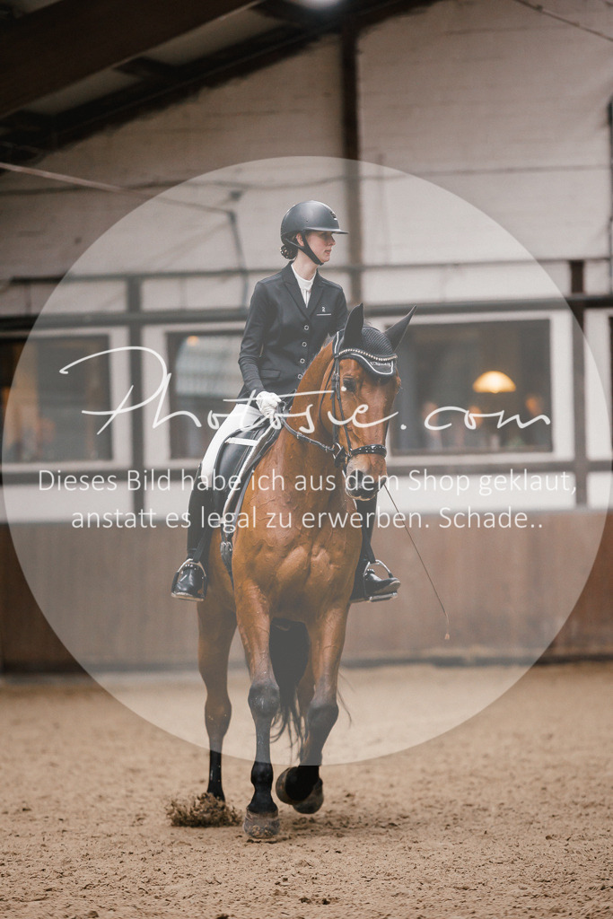 3I6A6762 | Stimmungsvolle Portraits und Reitsportfotografie im Ruhrgebiet und im Münsterland.

Pferdefotografie, Hundefotografie, Tierfotografie, Reportagen, Portraits von Tier und Mensch, Turnierfotografie in Bochum, Recklinghausen, Marl, Haltern am See, Dülmen.. - Realisiert mit Pictrs.com