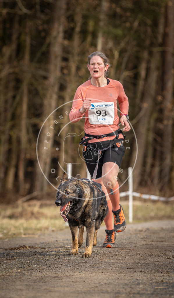 DV3A3985 | Hundefotografie, Tierfotograf, Pfotenfotografie, Fotoshooting Hund, Hunde Portrait, Hundesport, Hundeportraits, Heideshooting, Hunde, Sportfotograf, Hundefotograf, Turnierhundsport, THS,  - Realisiert mit Pictrs.com