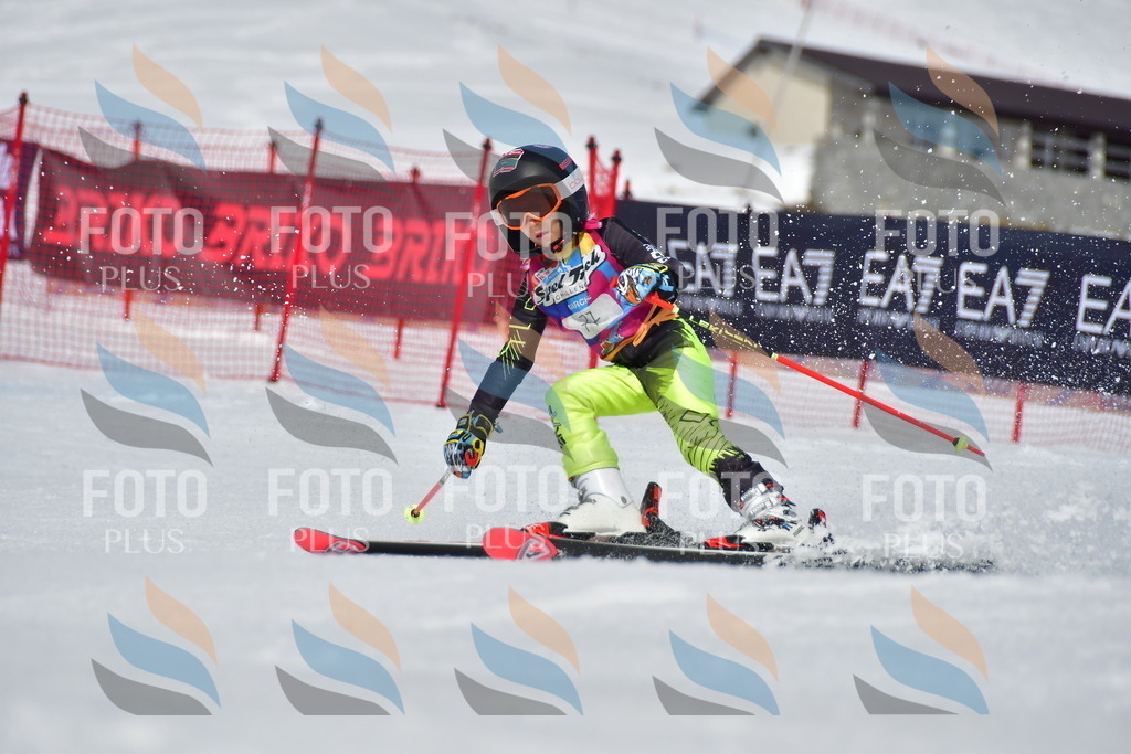 _DSC7392 | holidayphoto