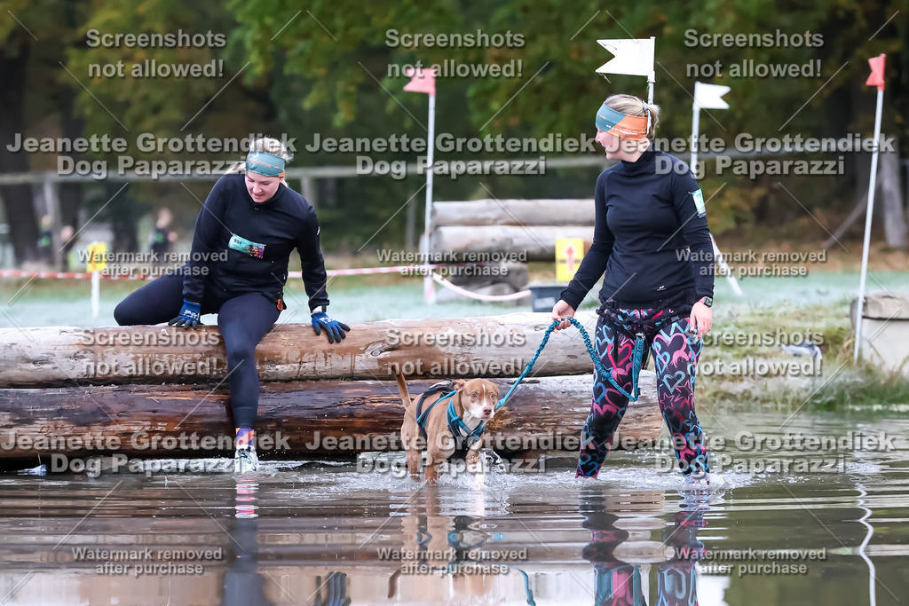 Dog Paparazzi - Strongdog 10-25-6087 | Dog Paparazzi Jeanette Grottendiek Fotografie & Videografie - Realisiert mit Pictrs.com