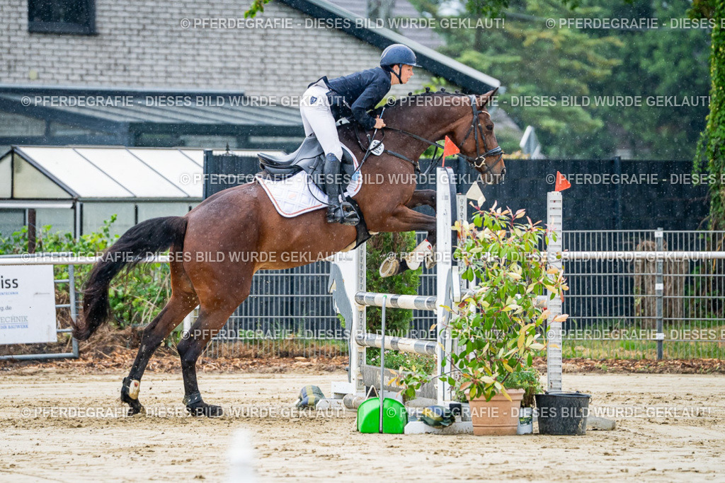 DSC02597 | Pferdegrafie