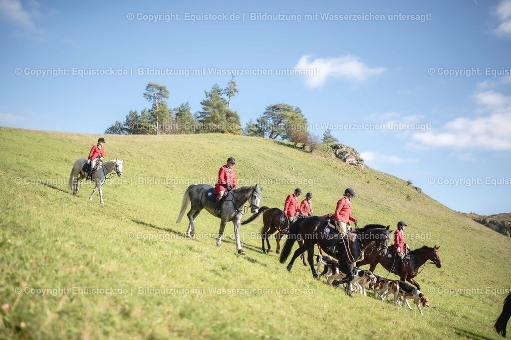 20251011_Jagd-Marbach_0559 | Foto: Thomas Hartig