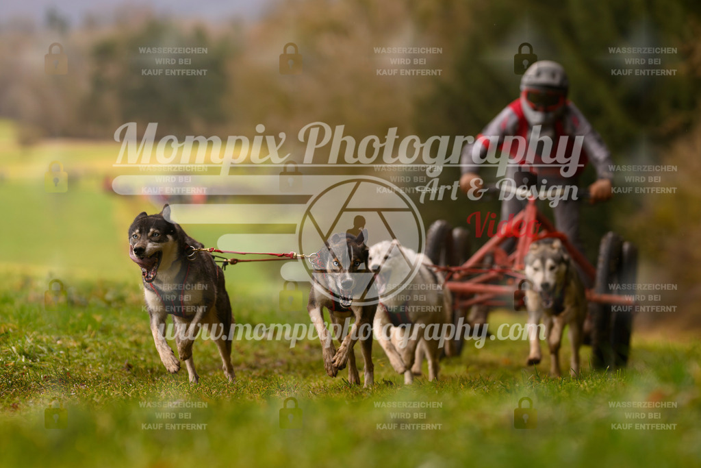 MompixPhotography_2SSTSSBW_2025_SO_Kart-34 | PayLife