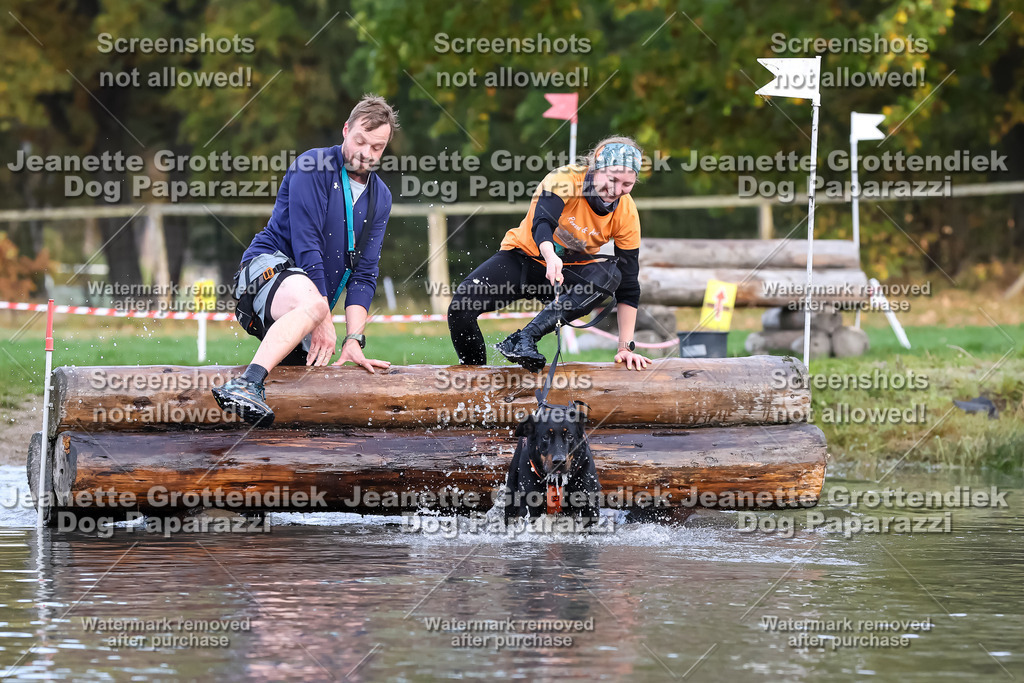 Dog Paparazzi - Strongdog 10-25-6683 | Dog Paparazzi Jeanette Grottendiek Fotografie & Videografie - Realisiert mit Pictrs.com