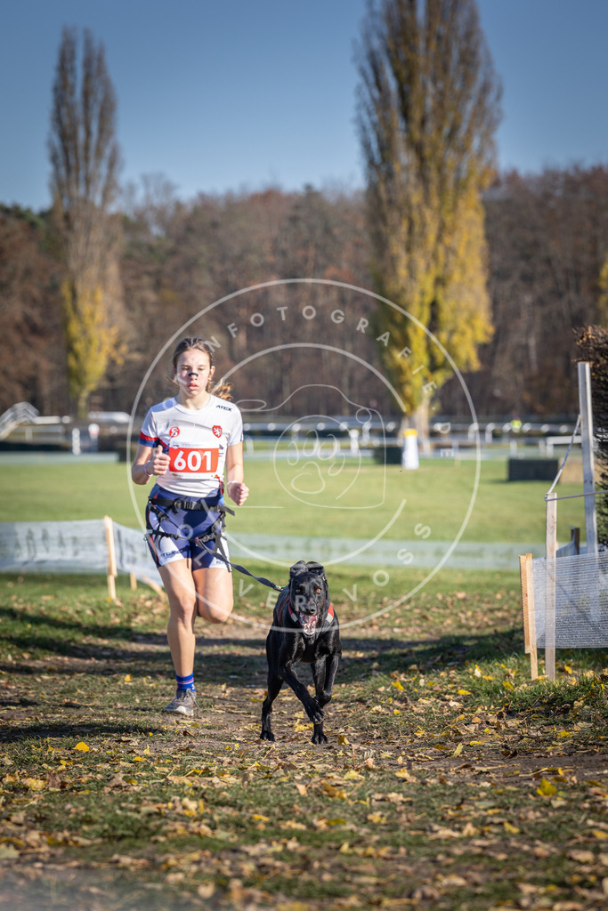 CaniXpix_DV3A9495 | Hundefotografie, Tierfotograf, Pfotenfotografie, Fotoshooting Hund, Hunde Portrait, Hundesport, Hundeportraits, Heideshooting, Hunde, Sportfotograf, Hundefotograf, Turnierhundsport, THS,  - Realisiert mit Pictrs.com