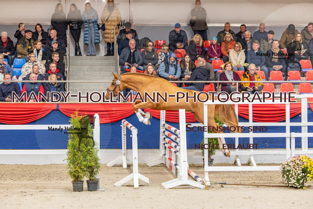 KWEDR (16 von 496) | mandyhollmannphotographie