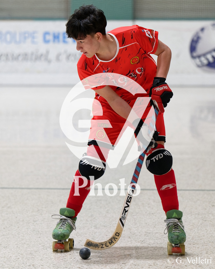 DSC_5392 | Velletri Photo