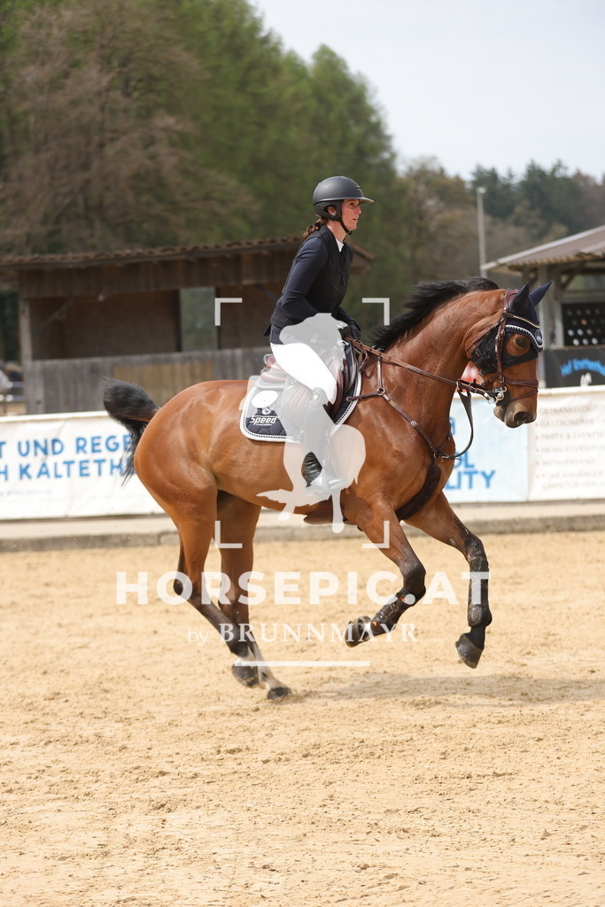 0P6A6171 | Willkommen bei Brunnmayr - Design & Fotografie – Ihrem Spezialisten für Reitturniere und Pferdeveranstaltungen in Oberösterreich, Salzburg und Bayern! Seit über 17 Jahren sind wir leidenschaftlich dabei.