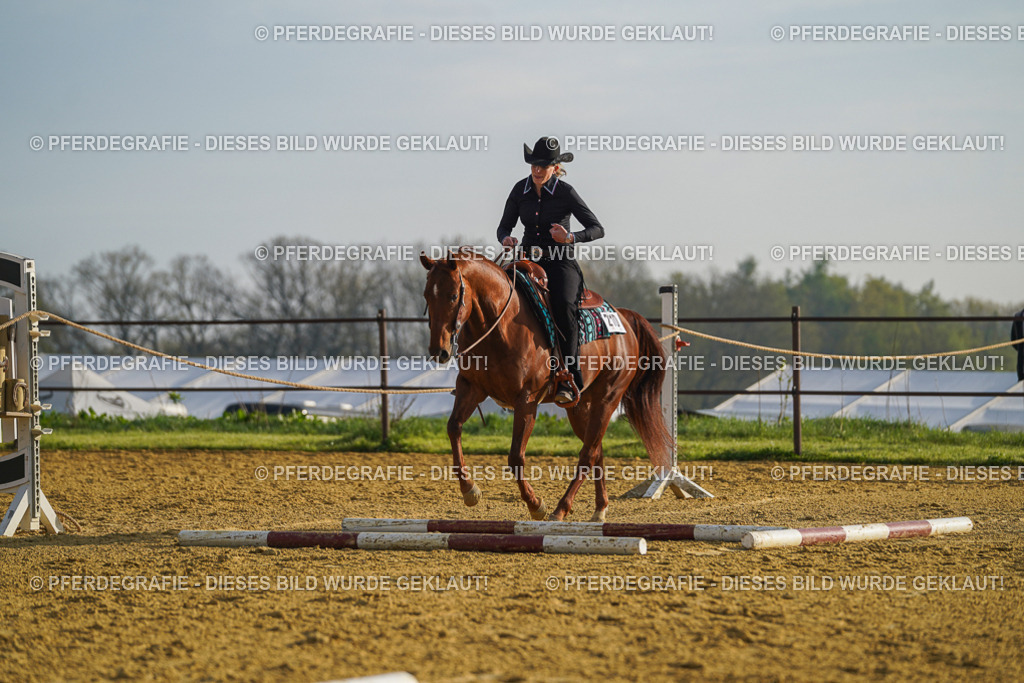 DSC00153 | Pferdegrafie