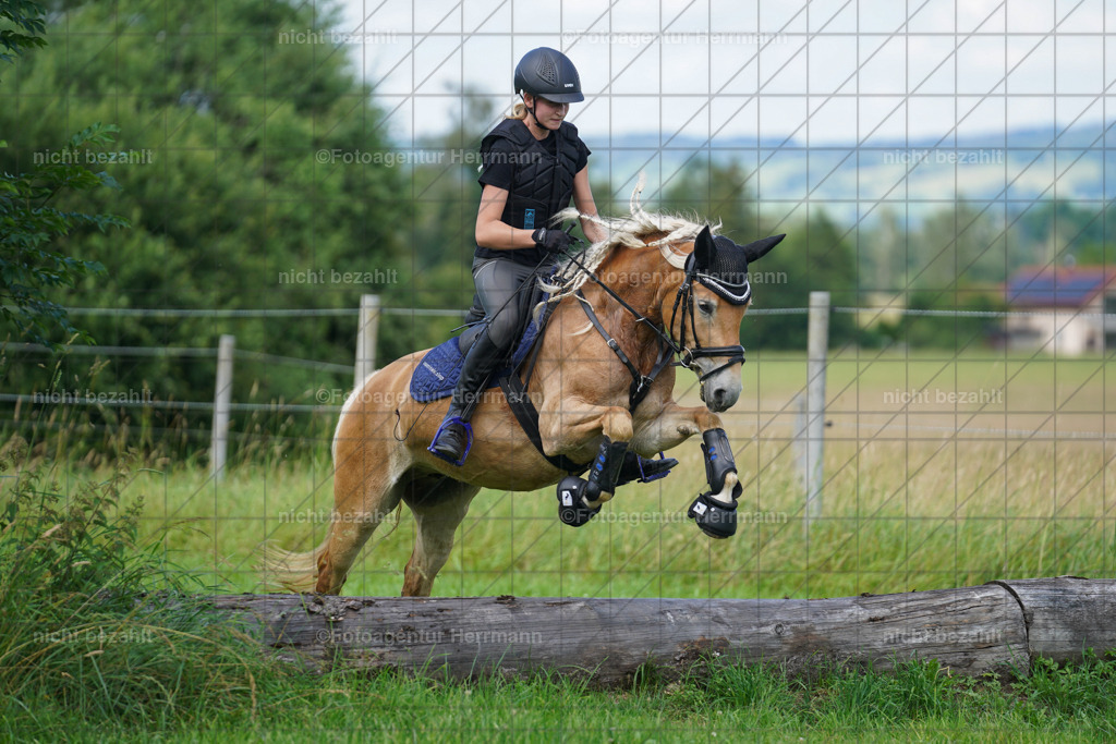 20240622-FAH07942 | Turnierfotografen Bayern, Reitsportbilder aus dem Geländekurs mit Felix Etzel auf dem Gut Waitzacker 2024