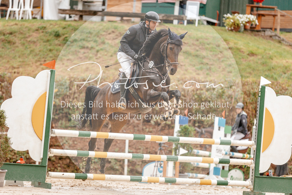 3I6A5869 | Stimmungsvolle Portraits und Reitsportfotografie im Ruhrgebiet und im Münsterland.

Pferdefotografie, Hundefotografie, Tierfotografie, Reportagen, Portraits von Tier und Mensch, Turnierfotografie in Bochum, Recklinghausen, Marl, Haltern am See, Dülmen.. - Realisiert mit Pictrs.com