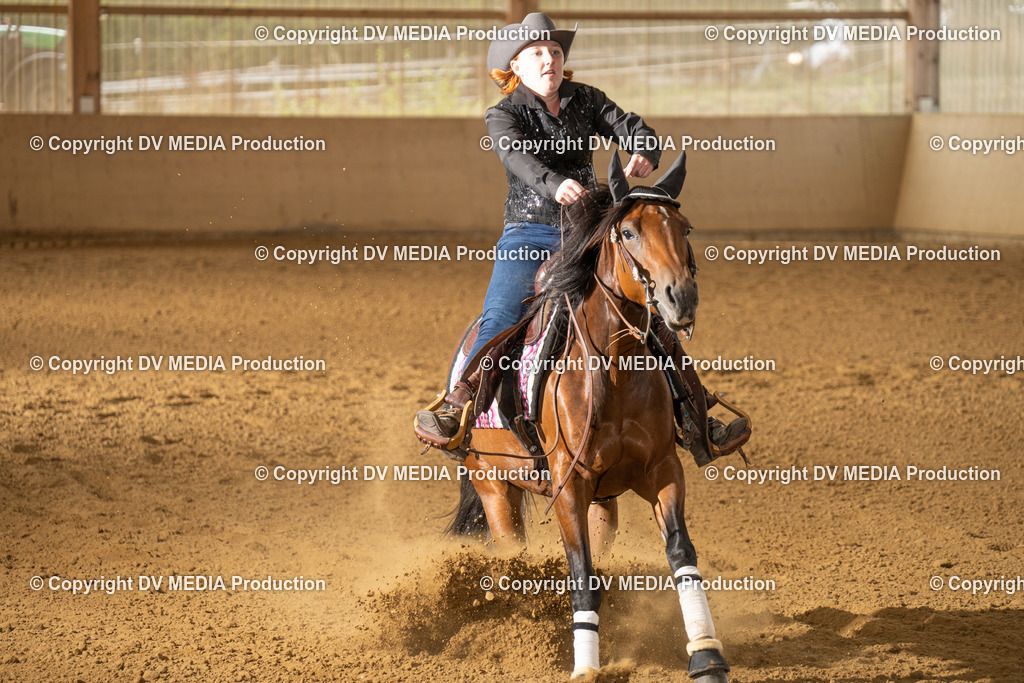 LAU01725 | dv-media-shop - Realisiert mit Pictrs.com