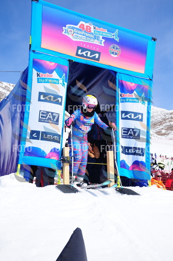 DSC_4868 | holidayphoto