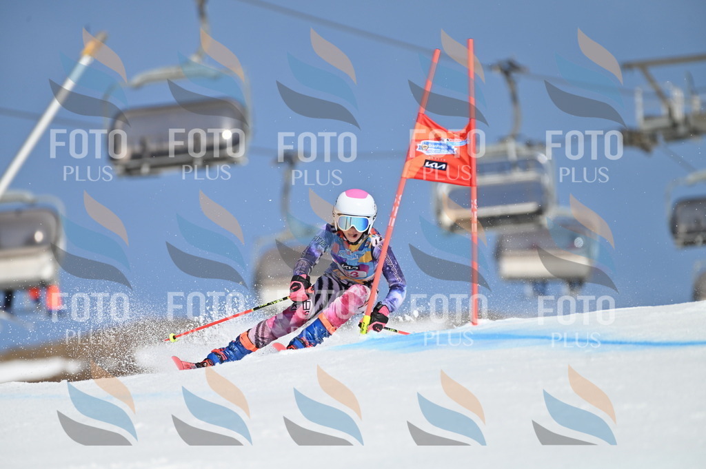 BGV_8773 | holidayphoto