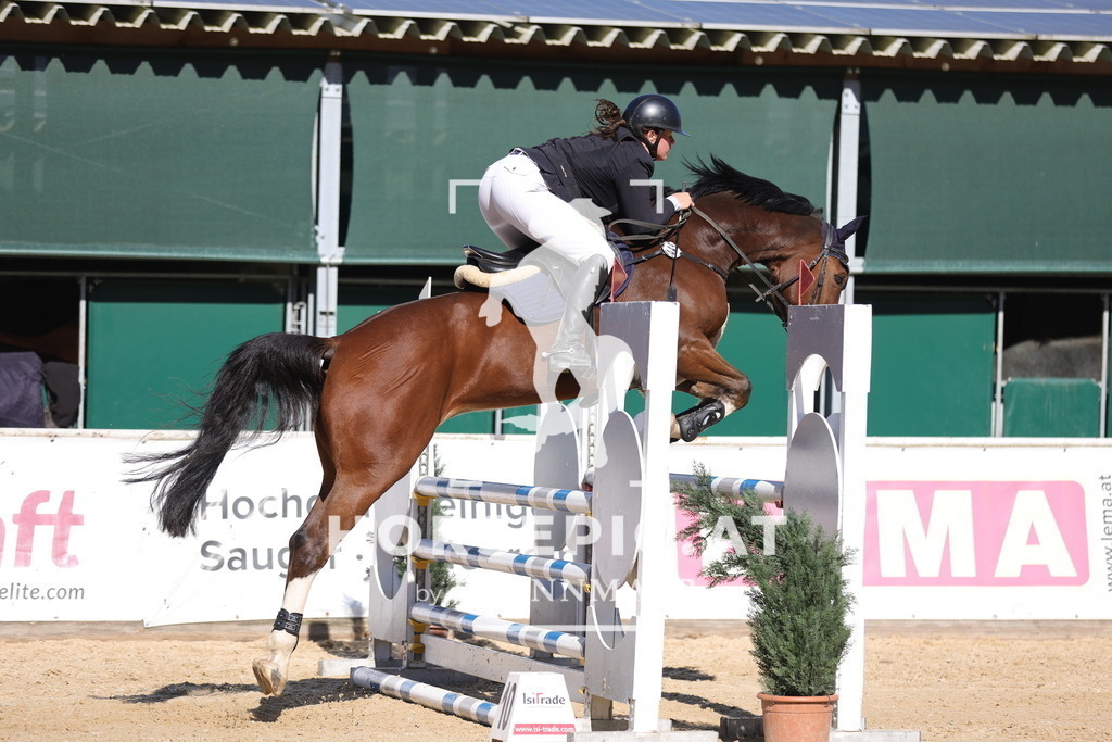 0P6A0392 | Willkommen bei Brunnmayr - Design & Fotografie – Ihrem Spezialisten für Reitturniere und Pferdeveranstaltungen in Oberösterreich, Salzburg und Bayern! Seit über 17 Jahren sind wir leidenschaftlich dabei.