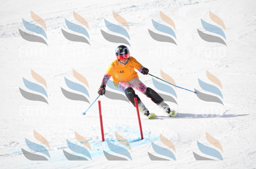 C7721 | holidayphoto