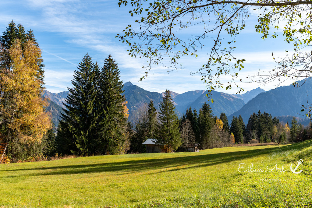 20241101-EAF_5389 | Eilun-Art-Fotografie Levke Martens, ihre Fotografin für Immobilien- und Landschaftsfotografie auf Föhr, Föhrer Motive als Poster, Leinwand, hinter Acrylglas oder stelle dir deinen eigenen Monatskalender zusammen, mit nur einem Klick