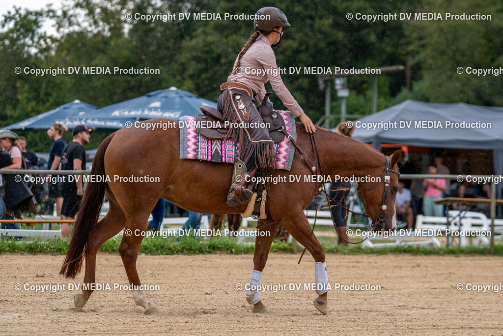 LM Heiligenwald Tag 2-2017 | dv-media-shop - Realisiert mit Pictrs.com