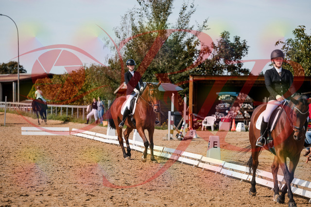 2026_10_03_Siefer-Hof_131123_Z63_74809736 | Professionelle Reitsport-, Turnier- und Eventfotografie von Robert Broda. Galerien mit ausgewählten und bearbeiteten Bildern direkt online ansehen und bestellen.