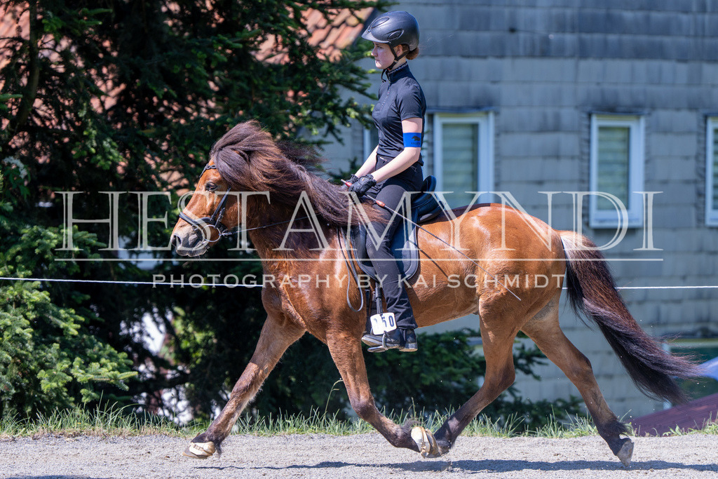 KAI05296 | Ihr sucht einen Fotografen für eure nächste OSI? Ich begleite auch euer Turnier für Islandpferde fotografisch.  - Realisiert mit Pictrs.com